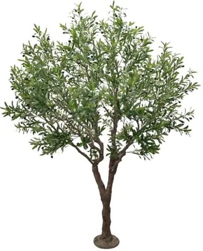 New plan OLIVE TREE NP496_240_UV ΥΨΟΣ 240cm Τεμαχιο