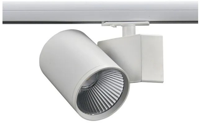 Σποτ Ράγας Μονοφασικό LED 40W 3000Κ Ρυθμιζόμενο Lisor Aca-LISOR4030W2N-Λευκό LISOR4030W2N