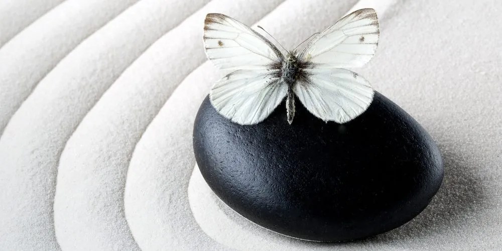Εικόνα πέτρα Ζεν με πεταλούδα - 100x50