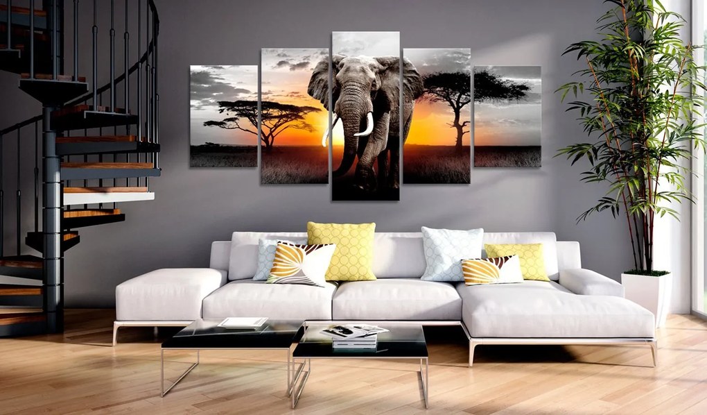 Πίνακας - Elephant at Sunset 100x50