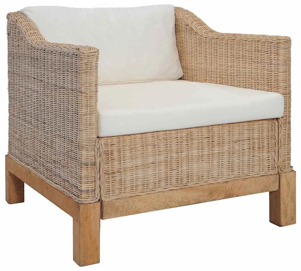 vidaXL Σετ Σαλονιού 2 Τεμαχίων από Γνήσιο Ρατάν με Μαξιλάρια