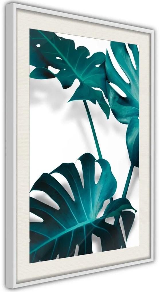 Αφίσα - Turquoise Monstera II - 20x30 - Χρυσό - Χωρίς πασπαρτού