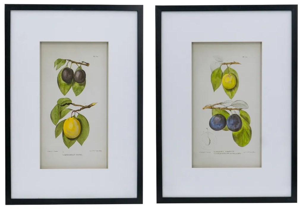 Artekko Botanical Πίνακας με Κορνίζα Πλαστικό Γυαλί Μαύρο Κίτρινο (50x3x70)cm Σετ/2 Artekko SM78453