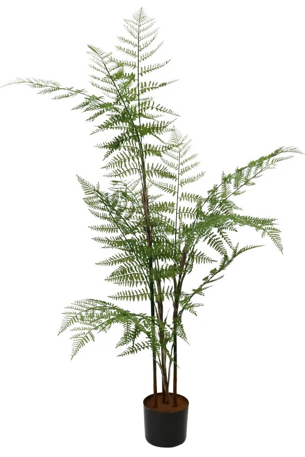 HERICIUM FERN ΤΕΧΝΗΤΟ ΦΥΤΟ ΣΕ ΓΛΑΣΤΡΑ ΠΡΑΣΙΝΟ ΜΑΥΡΟ H130cm - 030837