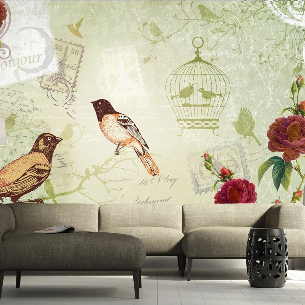 Φωτοταπετσαρία - Vintage birds 350x245