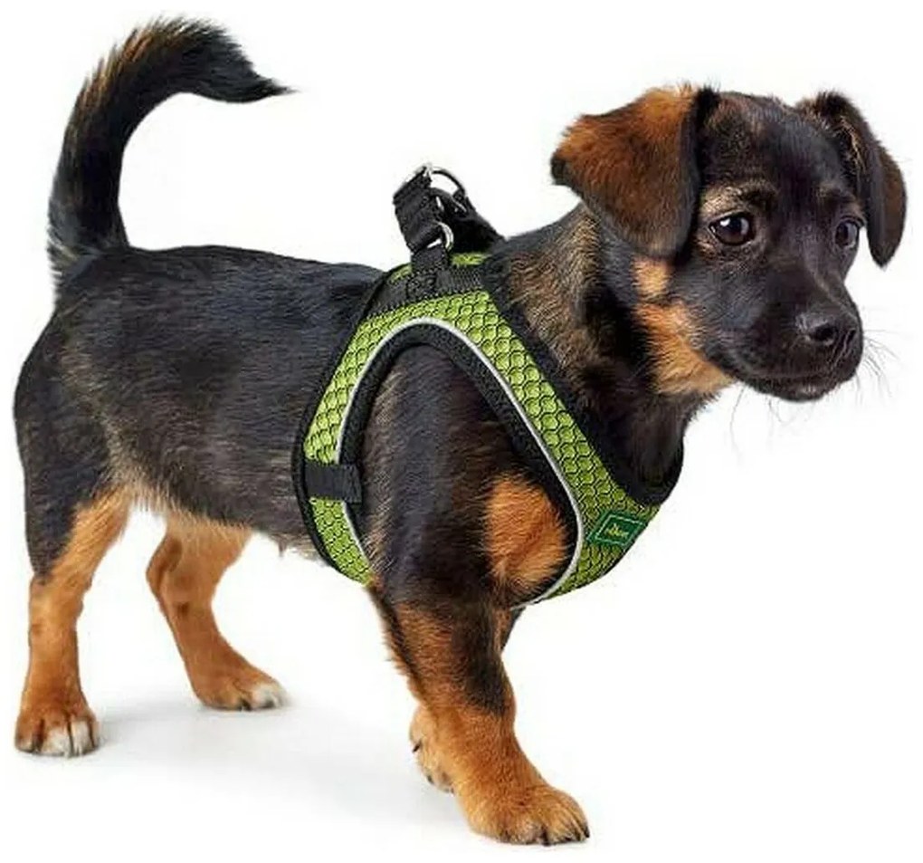 Λουρί Σκύλου Hunter Hilo-Comfort γκράφιτι Μέγεθος M/L (58-63 cm)