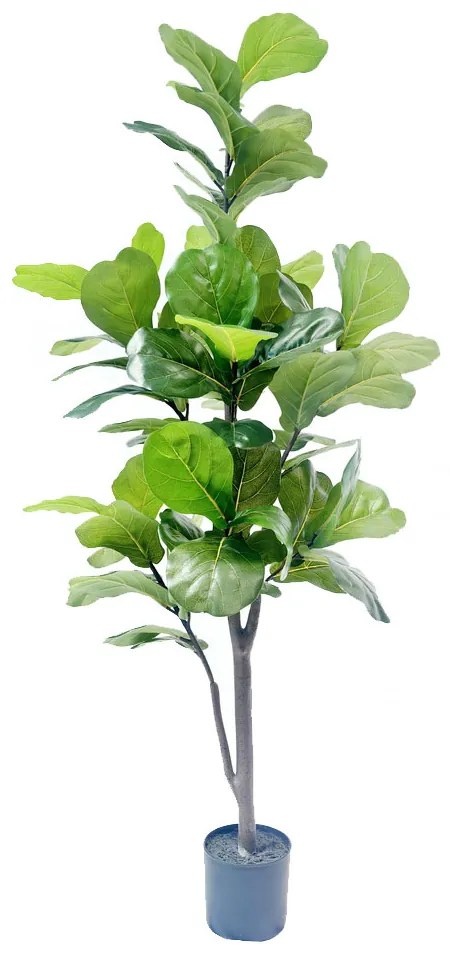 FICUS PANDURATA ΤΕΧΝΗΤΟ ΦΥΤΟ ΣΕ ΓΛΑΣΤΡΑ ΥΦΑΣΜΑ PVC ΠΡΑΣΙΝΟ H180CM - 031329