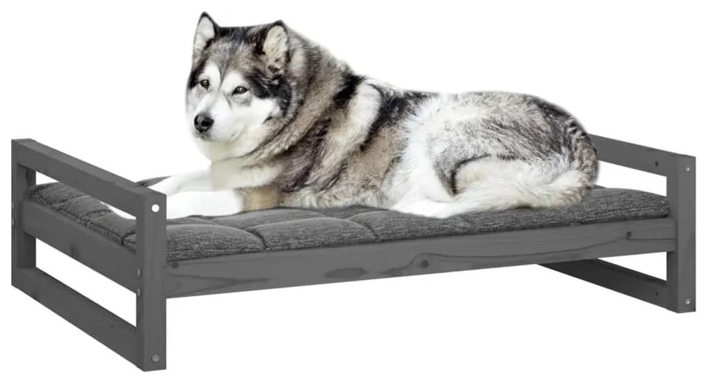 Κρεβάτι Σκύλου Γκρι 105,5x75,5x28 εκ. από Μασίφ Ξύλο Πεύκου - Γκρι