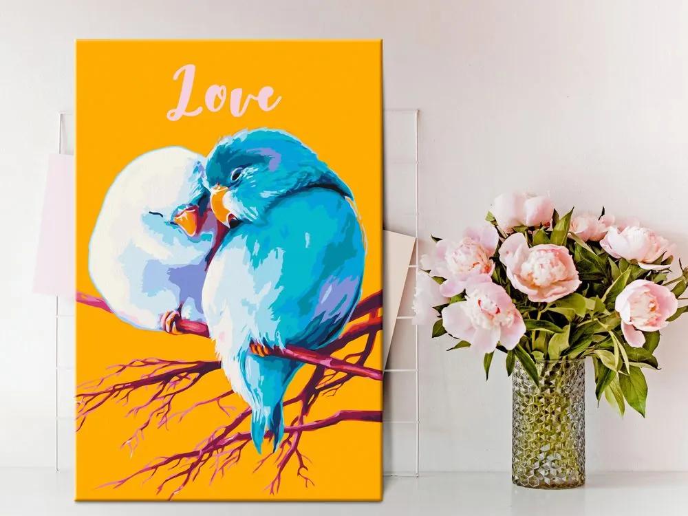 Ζωγραφική με αριθμούς Ερωτευμένοι παπαγάλοι - 40x60