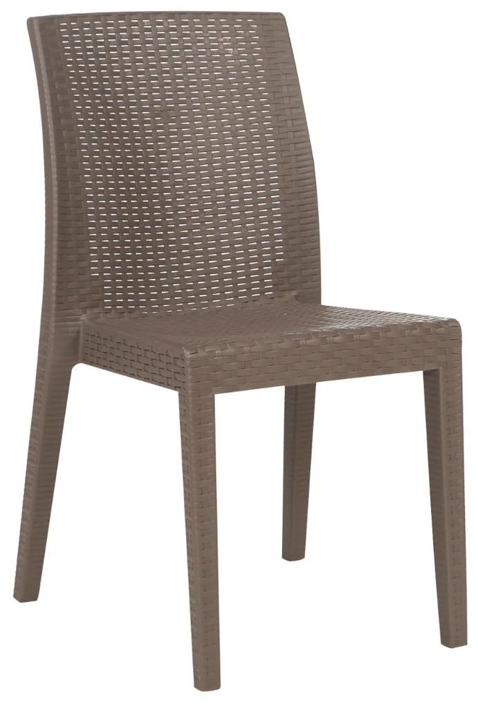 900-024 Καρέκλα Tiara Cappuccino 41 x 53 x 85 Cappuccino Πολυπροπυλένιο (PP), 1 Τεμάχιο