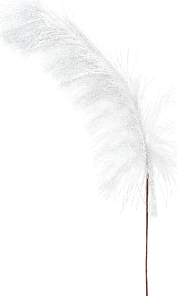 Κλαδί Pampas Λευκό 74εκ. Zen Collection 25.32.51790