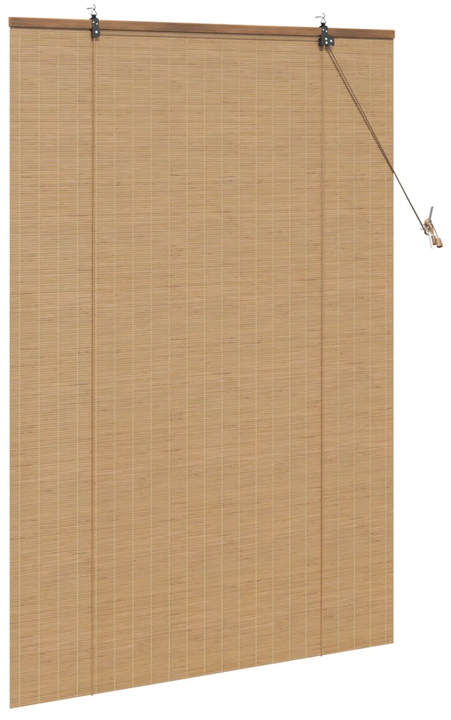 vidaXL Ρολά και Σκίες Παραθύρων Ανοιχτό καφέ 100 x 160 cm Μπαμπού
