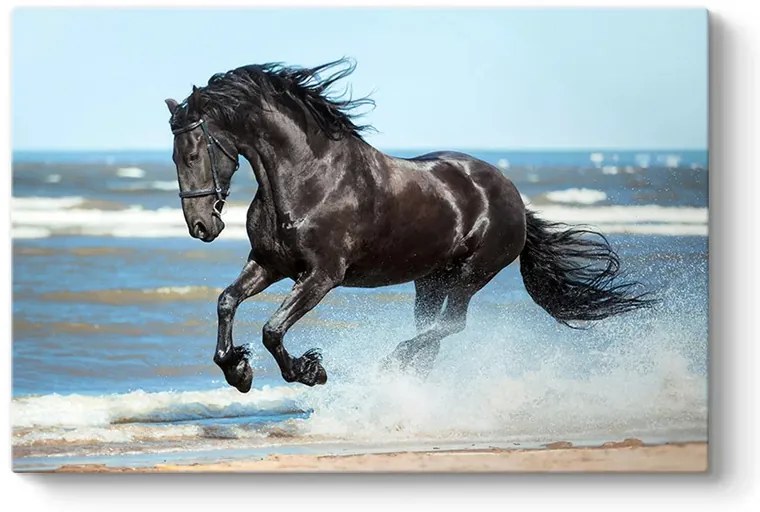Πίνακας σε καμβά "Black Horse" Megapap ψηφιακής εκτύπωσης 100x70x3εκ.