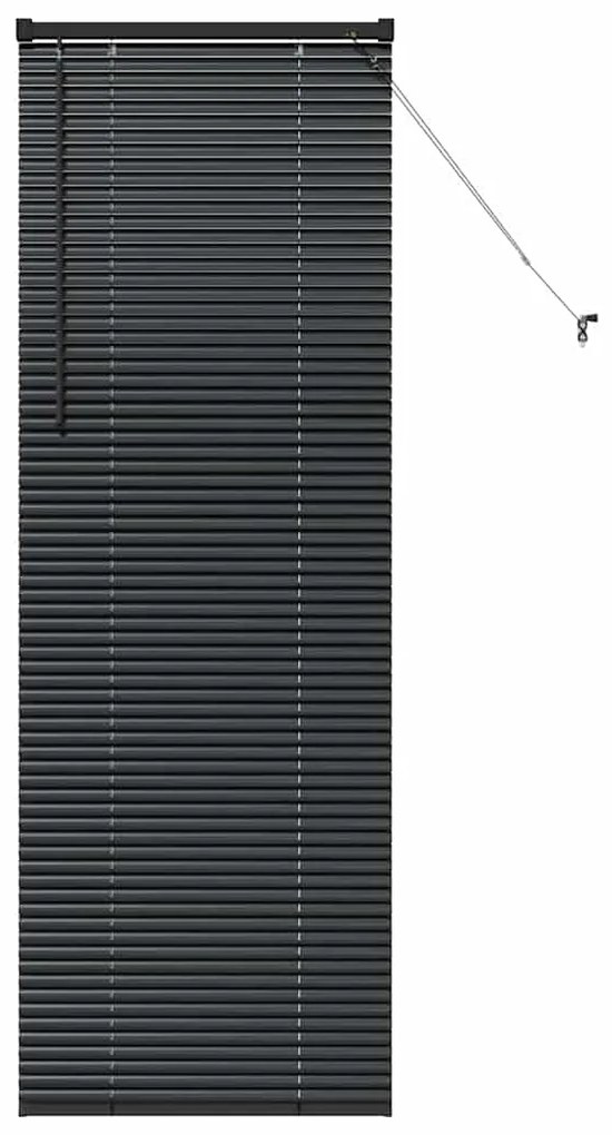 vidaXL Ρολό Παραθύρου με κουρτίνες Μαύρο Αλουμίνιο
