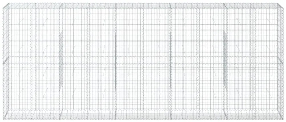 vidaXL Συρματοκιβώτιο με Κάλυμμα 500x50x200εκ. από Γαλβανισμένο Χάλυβα