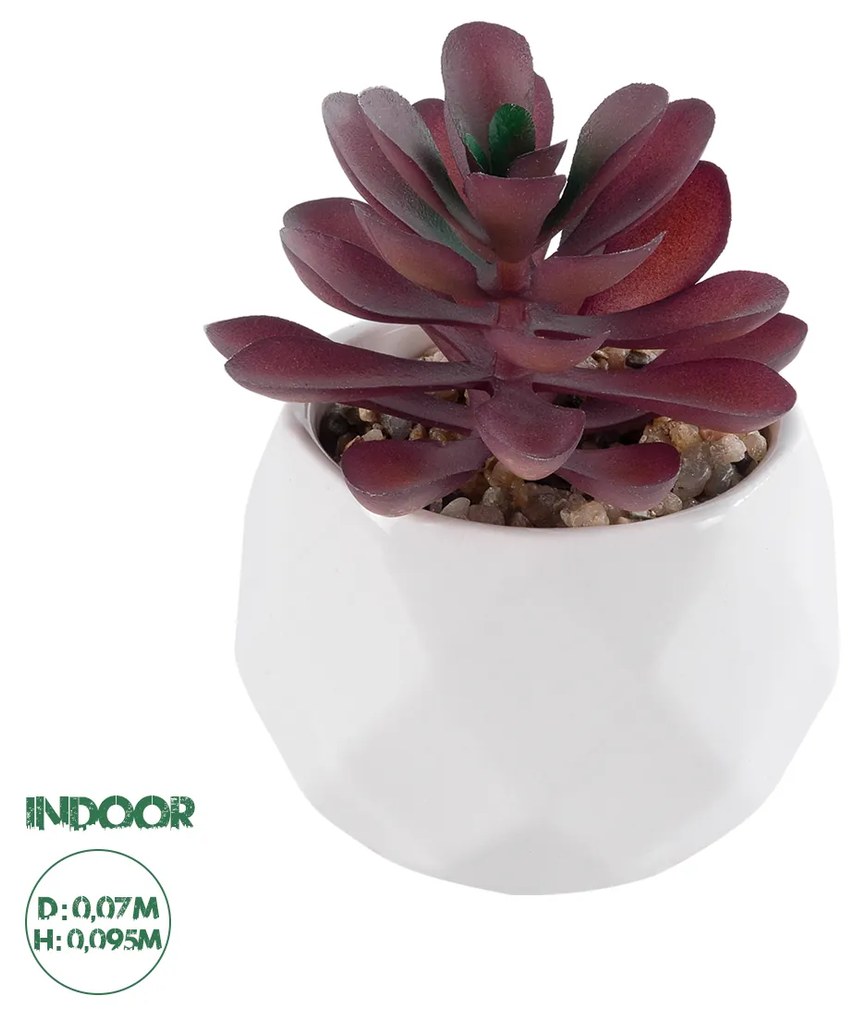 Artificial Garden SUCCULENT CRASSULA 21004 Διακοσμητικό Φυτό Παχύφυτο Κράσουλα Υ9.5cm