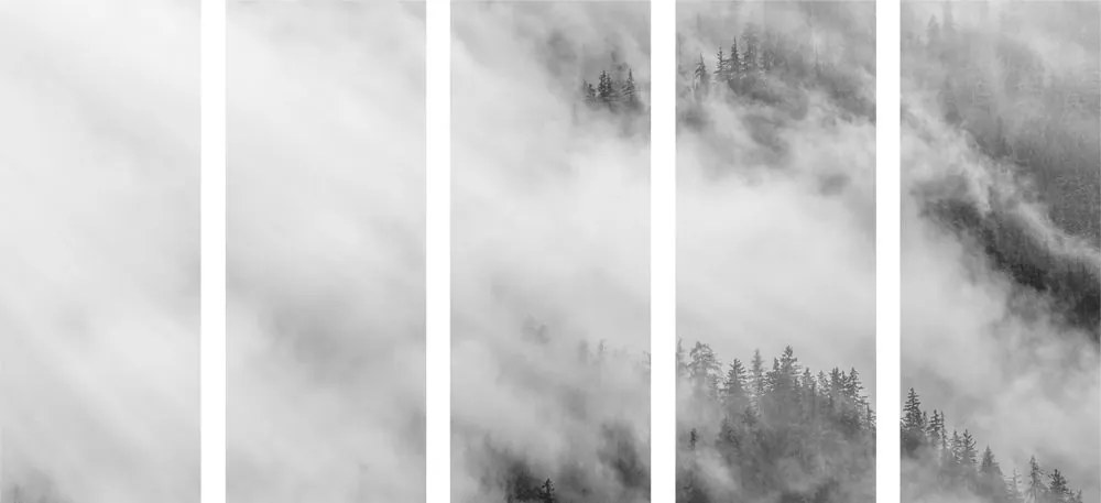 Εικόνα 5 μερών ασπρόμαυρο ομιχλώδες δάσος