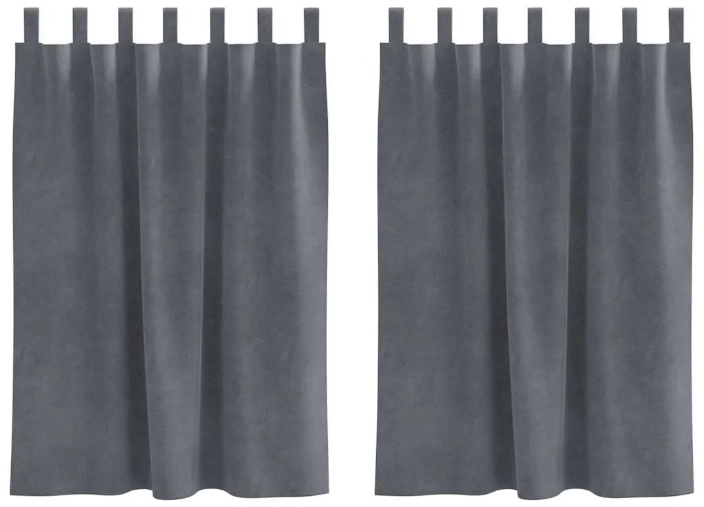 vidaXL Κουρτίνες με κουρτίνες 2 pcs Ανοιχτό γκρι 140 x 140 cm Βελούδο