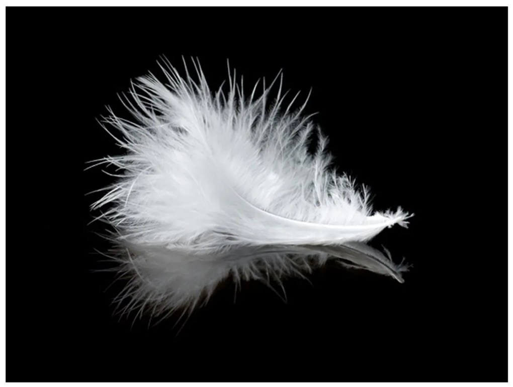 Φωτοταπετσαρία - White feather 200x154