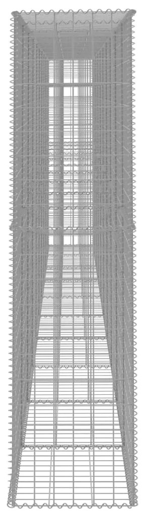 vidaXL Συρματοκιβώτιο Τοίχος 600x50x200 εκ. Γαλβαν.Χάλυβας + Κάλυμμα