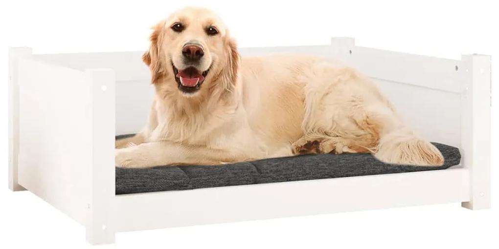 Κρεβάτι Σκύλου άσπρο 75,5x55,5x28 εκ. από Μασίφ Ξύλο Πεύκου - Λευκό