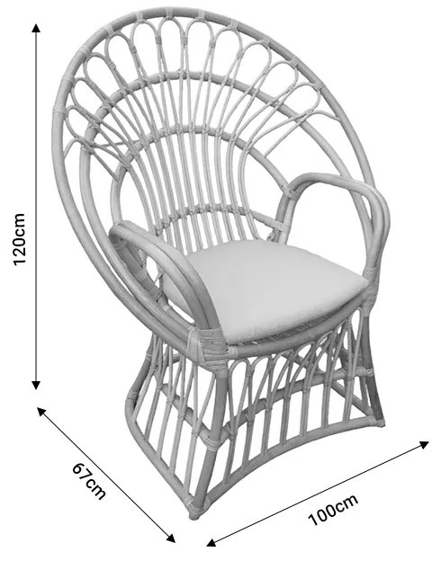 Πολυθρόνα Boloni Inart με μπεζ μαξιλάρι-φυσικό rattan 100x67x120εκ