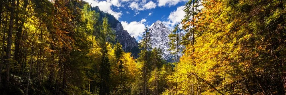 Εικόνα από αφηρημένα λουλούδια σε μαρμάρινο φόντο - 135x45