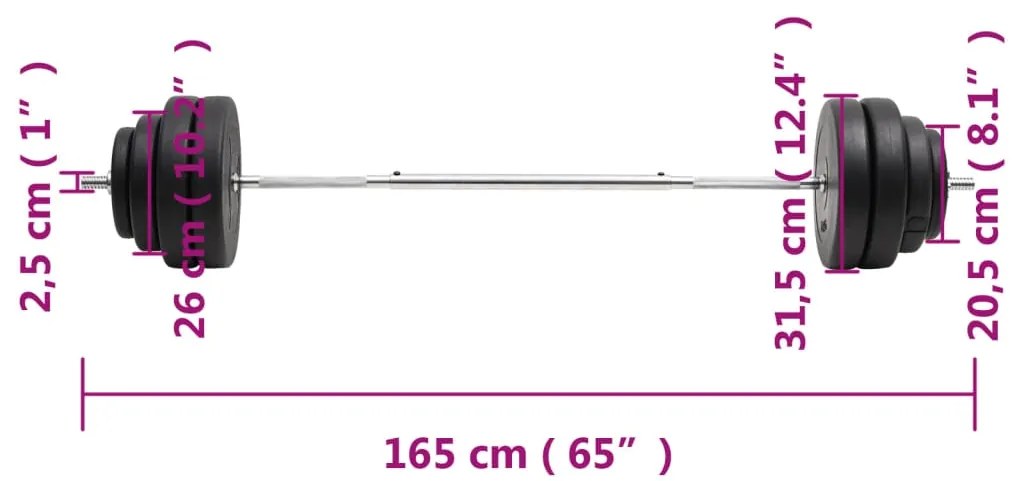 vidaXL Μπάρα με Δίσκους 60 Κιλών
