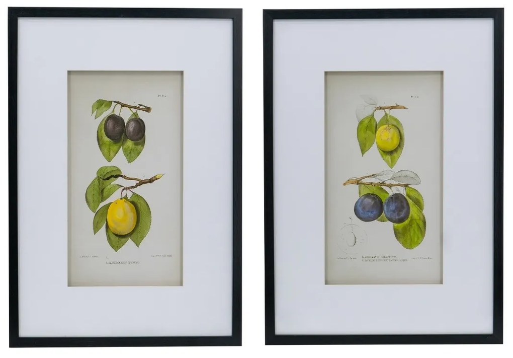 Artekko Botanical Πίνακας με Κορνίζα Πλαστικό Γυαλί Μαύρο Κίτρινο (50x3x70)cm Σετ/2