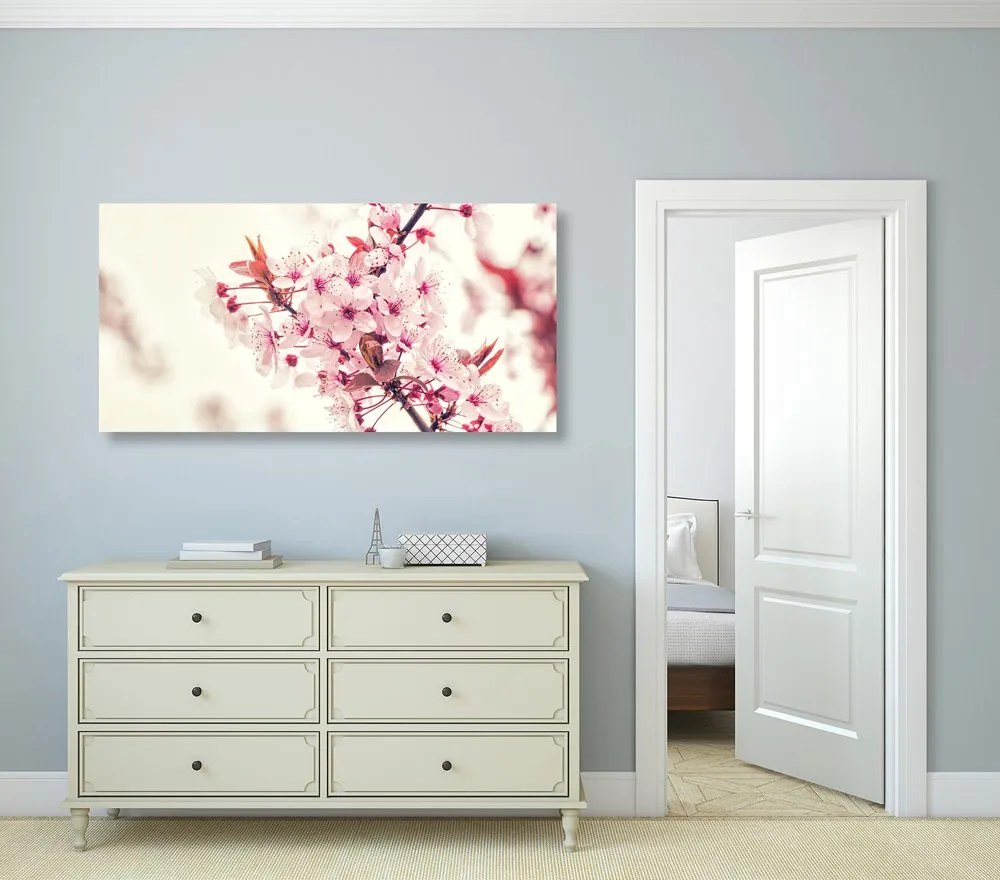 Εικόνα με ροζ άνθη κερασιάς - 120x60