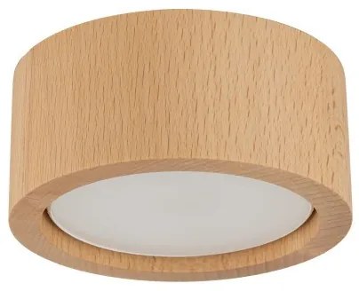Σποτ Φωτιστικό Οροφής 1xGX53 Downlight Ξύλο Eve Wood TK Lighting-10123-Μπεζ 10123