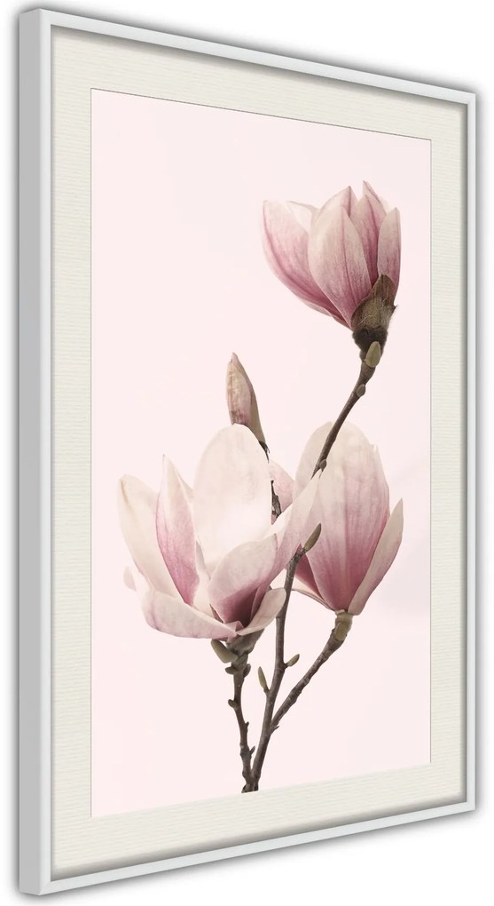 Αφίσα - Blooming Magnolias III - 20x30 - Χρυσό - Χωρίς πασπαρτού