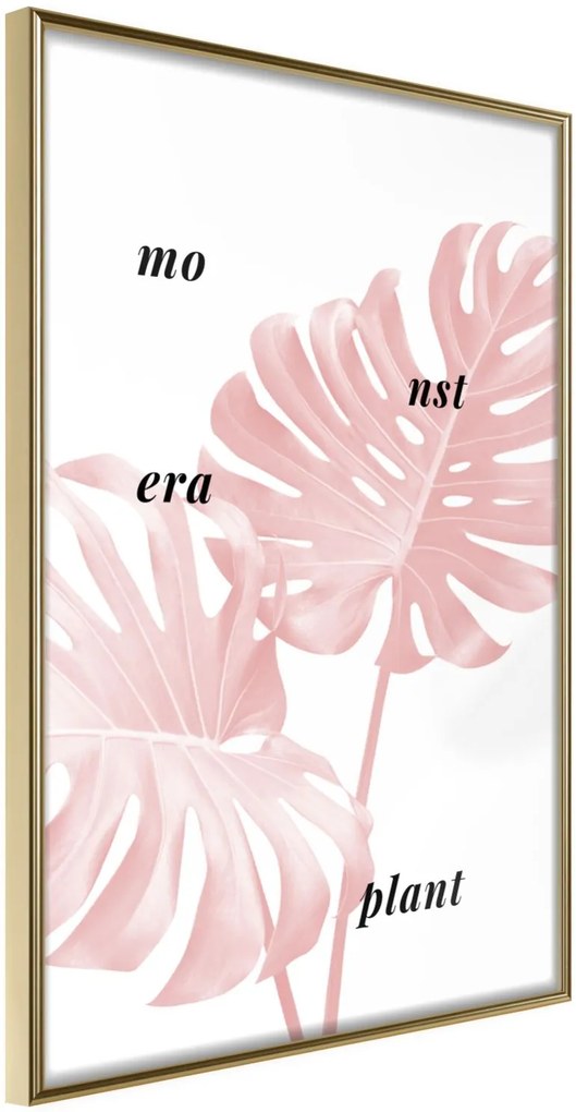 Αφίσα - Pale Pink Monstera - 20x30 - Χρυσό - Χωρίς πασπαρτού