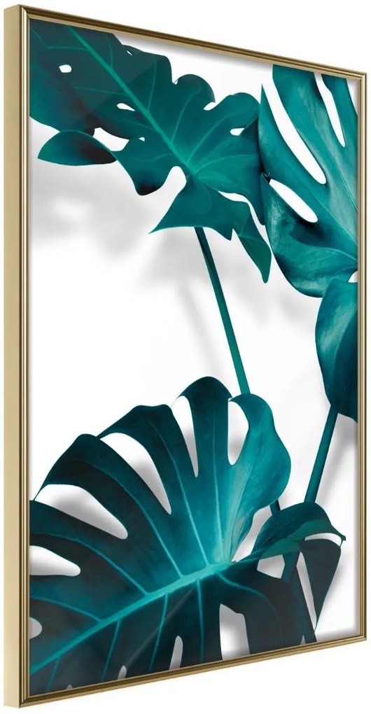 Αφίσα - Turquoise Monstera II - 30x45 - Χρυσό - Χωρίς πασπαρτού