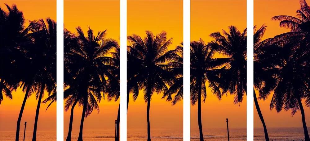 Εικόνα 5 μερών ηλιοβασίλεμα πάνω από φοίνικες