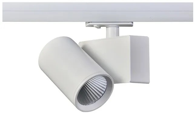 Σποτ Ράγας Μονοφασικό LED 20W 3000Κ Ρυθμιζόμενο Lisor Aca-LISOR2030W2N-Λευκό LISOR2030W2N