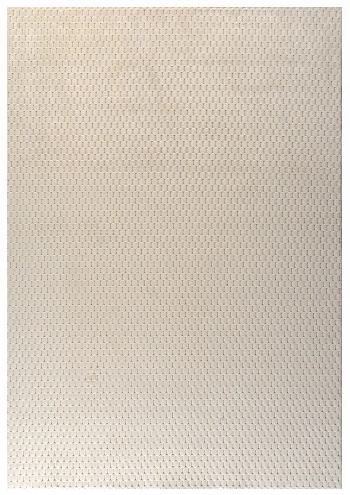 Γούνινο Χαλί (160x230) Tzikas Carpets Nexus 26166-001