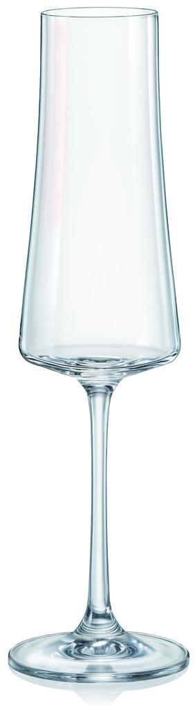 Ποτήρι Σαμπάνιας-Ούζου Κρυστάλλινο Bohemia Xtra 210ml CLX40862210