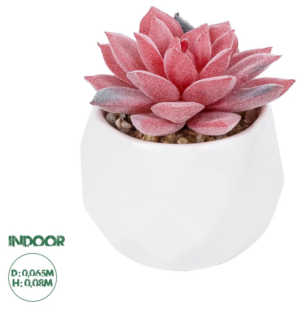 GloboStar® Artificial Garden SUCCULENT SEDEVERIA POTTED PLANT 20989 Διακοσμητικό Φυτό Σεδεβέρια Φ6,5 x Υ8cm