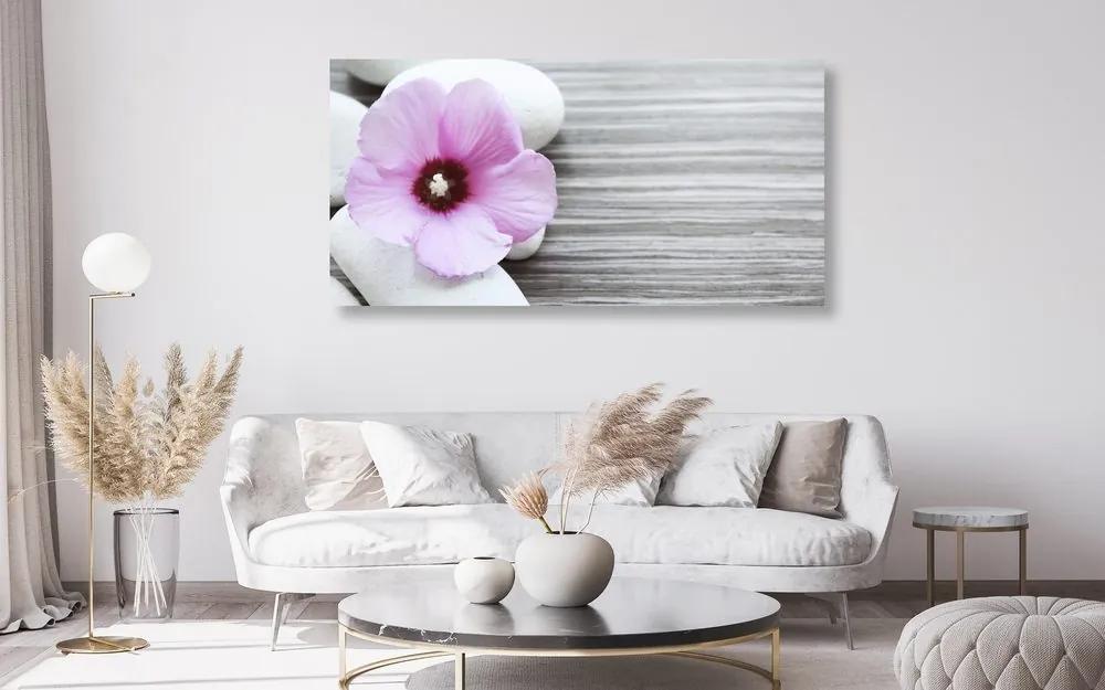 Εικόνα αλληλεπίδρασης λίθων και ροζ λουλουδιών - 120x60