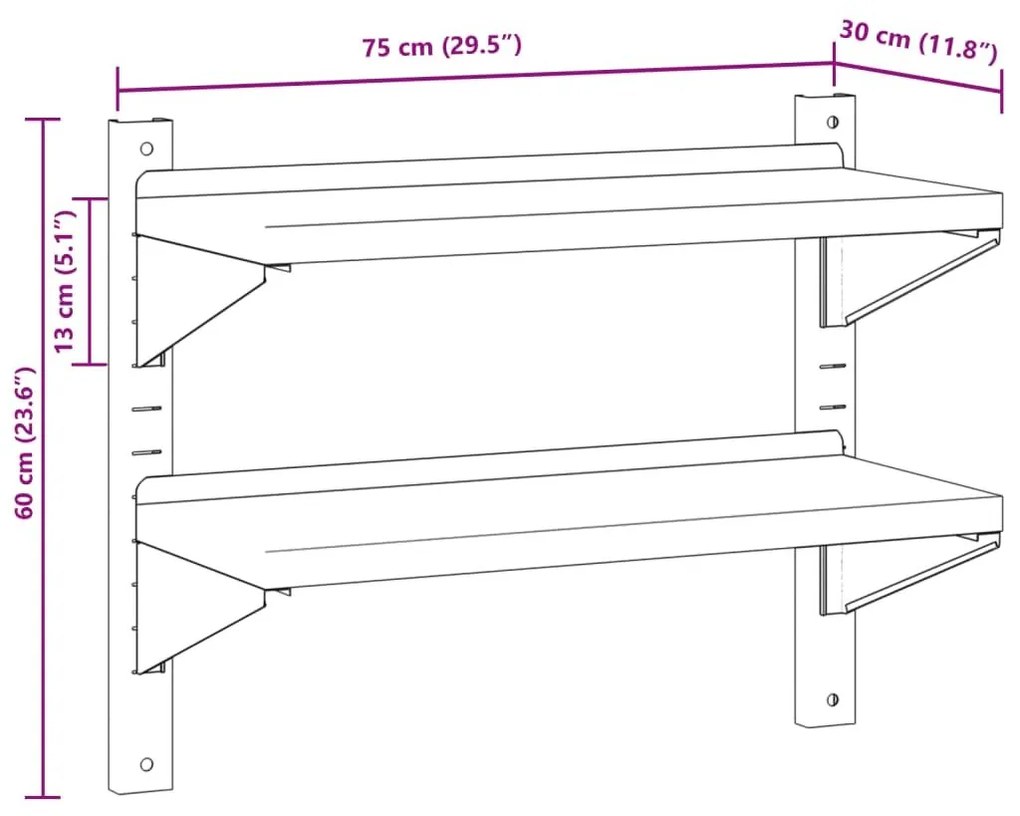 Ράφι Τοίχου 2 Επιπ. Ασημί 75x30x60 εκ. Ανοξείδωτο Ατσάλι - Ασήμι