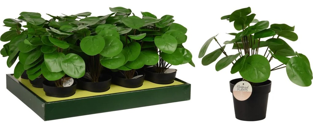 Φυτό Τεχνητό ArteLibre Pilea 25cm Μαύρο Σε Μαύρο Γλαστράκι 98x85mm