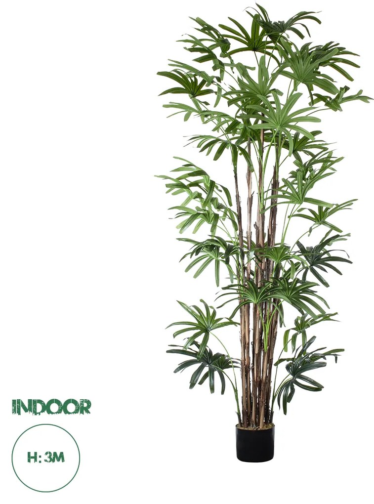 Artificial Garden BROADLEAF LADY PALM TREE 20384 Τεχνητό Διακοσμητικό Φυτό Πλατύφυλλος Φοίνικας Μπαμπού Υ300cm