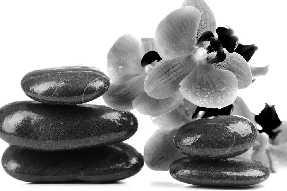 Εικόνα SPA πέτρες και ορχιδέα σε ασπρόμαυρο σχέδιο - 90x60