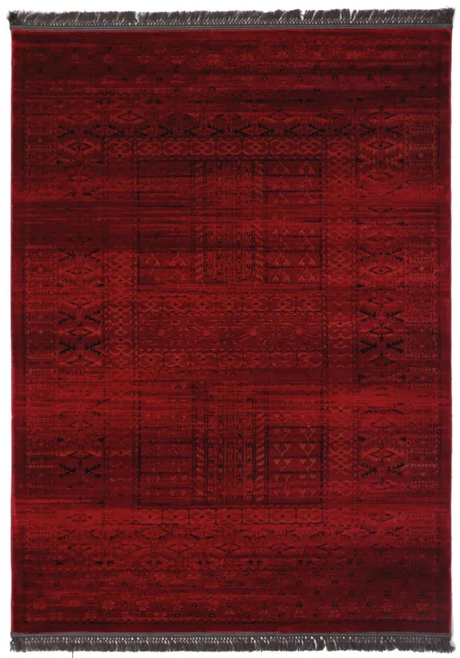 Κλασικό χαλί Afgan 7504H D.RED Royal Carpet - 240 x 350 cm - 11AFG7504H77.240350