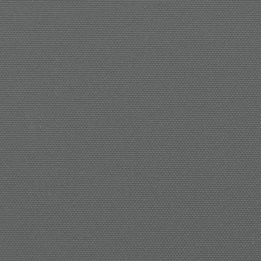 Σκίαστρο Πλαϊνό Συρόμενο Ανθρακί 100 x 1000 εκ. - Ανθρακί