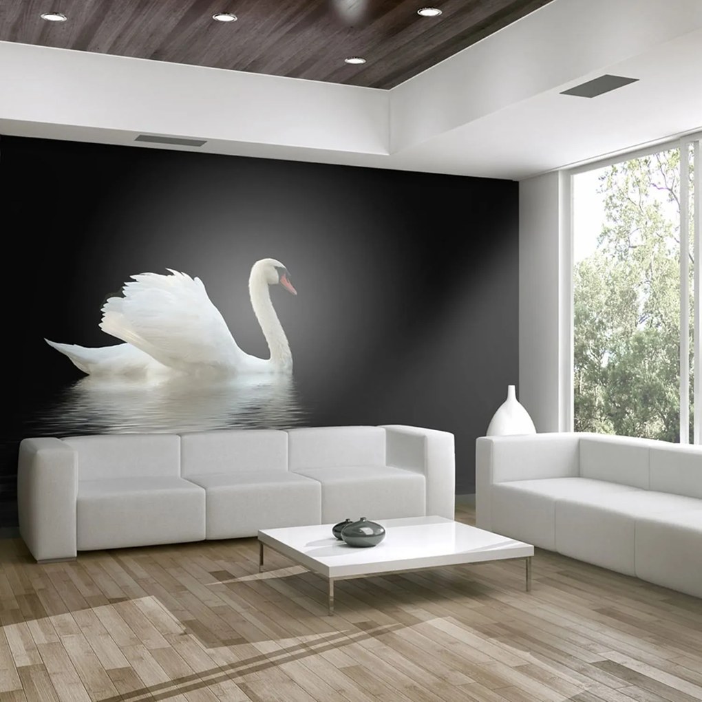 Φωτοταπετσαρία - swan (black and white) 200x154