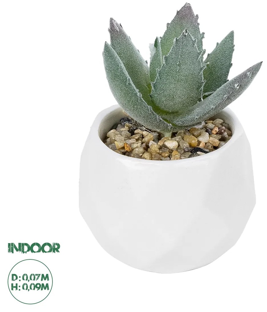 GloboStar® Artificial Garden SUCCULENT ALOE POTTED PLANT 20999 Διακοσμητικό Φυτό Αλόη  Φ7 x Υ9cm