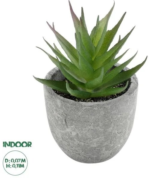 Artificial Garden SUCCULENT ALOE 21010 Διακοσμητικό Φυτό Παχύφυτο Αλόη Υ11cm Globostar 21010