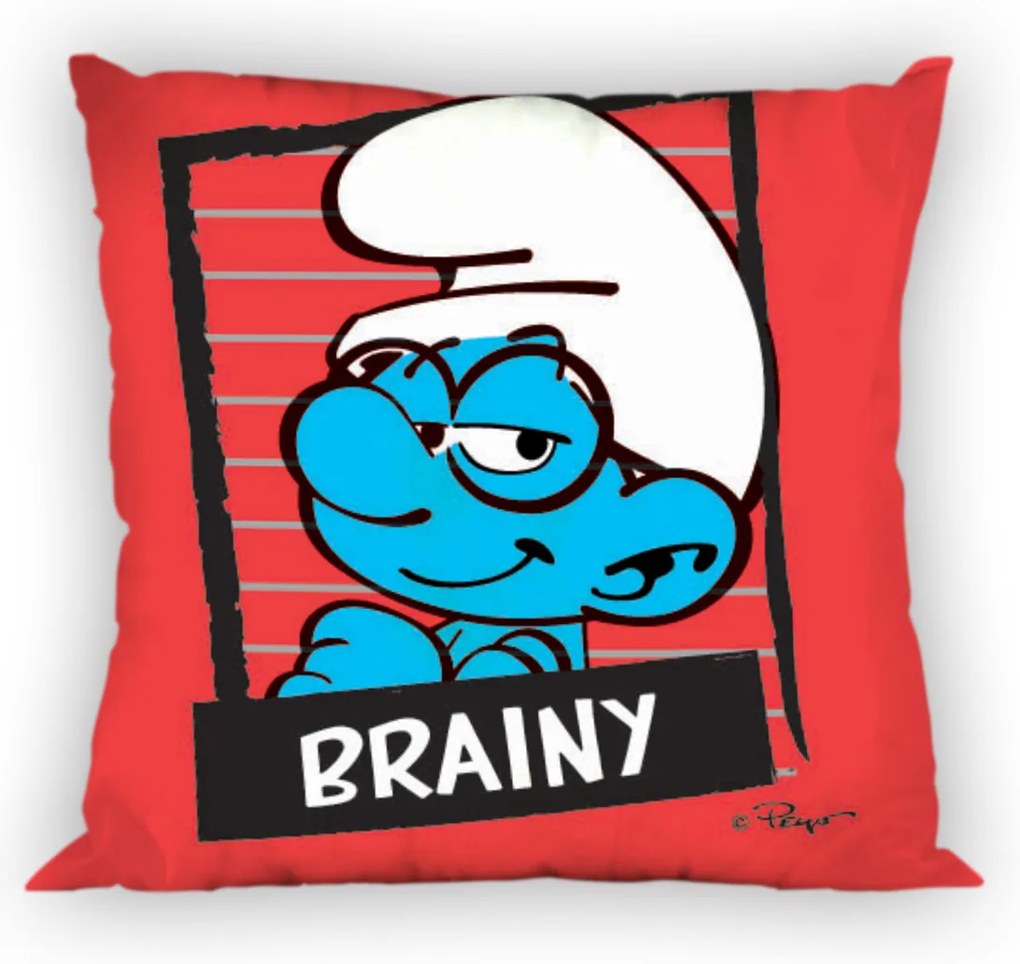 Διακοσμητικό Μαξιλάρι (40x40) Dimcol Smurfs 17